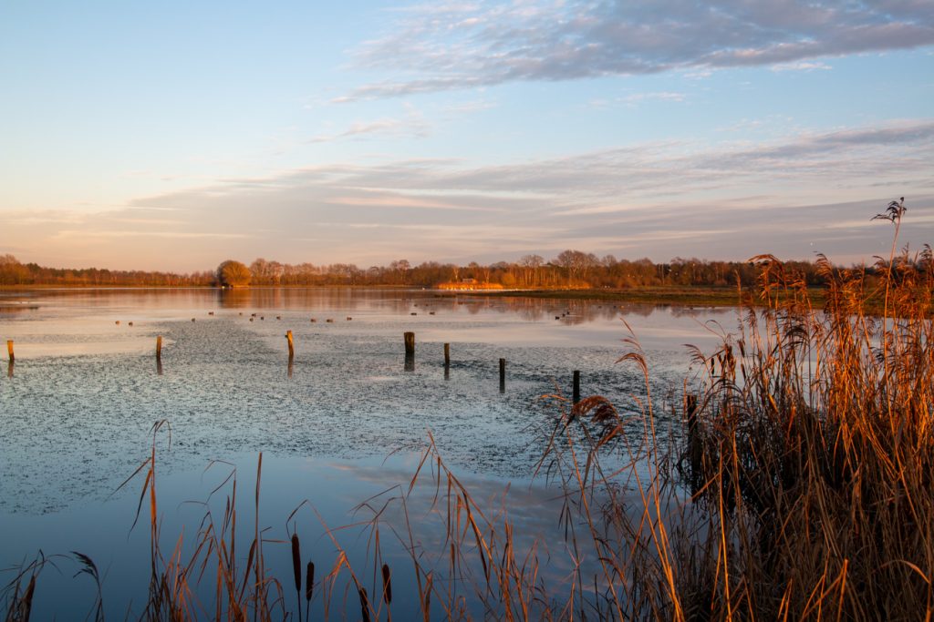 Duurzame en groene dorpen